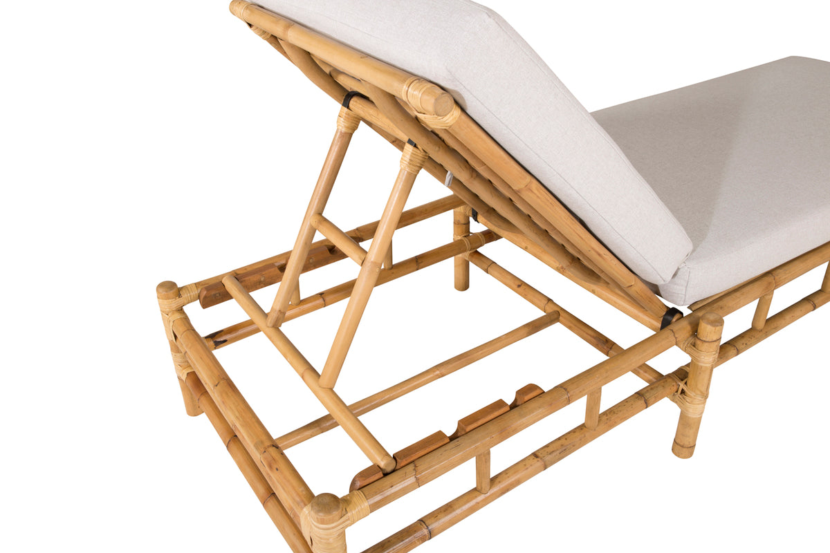 Venture Design Cane Solstolar