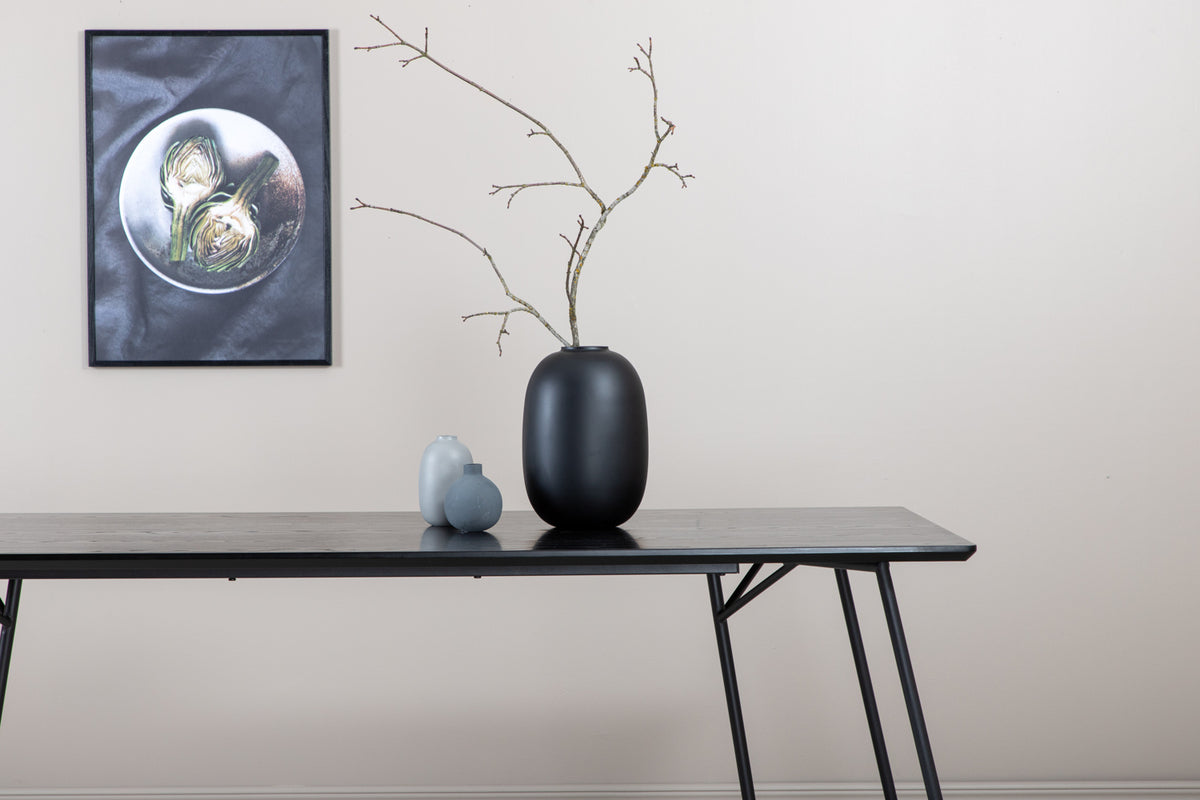 Venture Design Petra Rektangulära Matbord 190 x 90 Svart