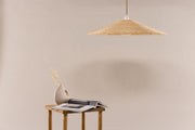 Venture Design Herrestad Taklampor Natur