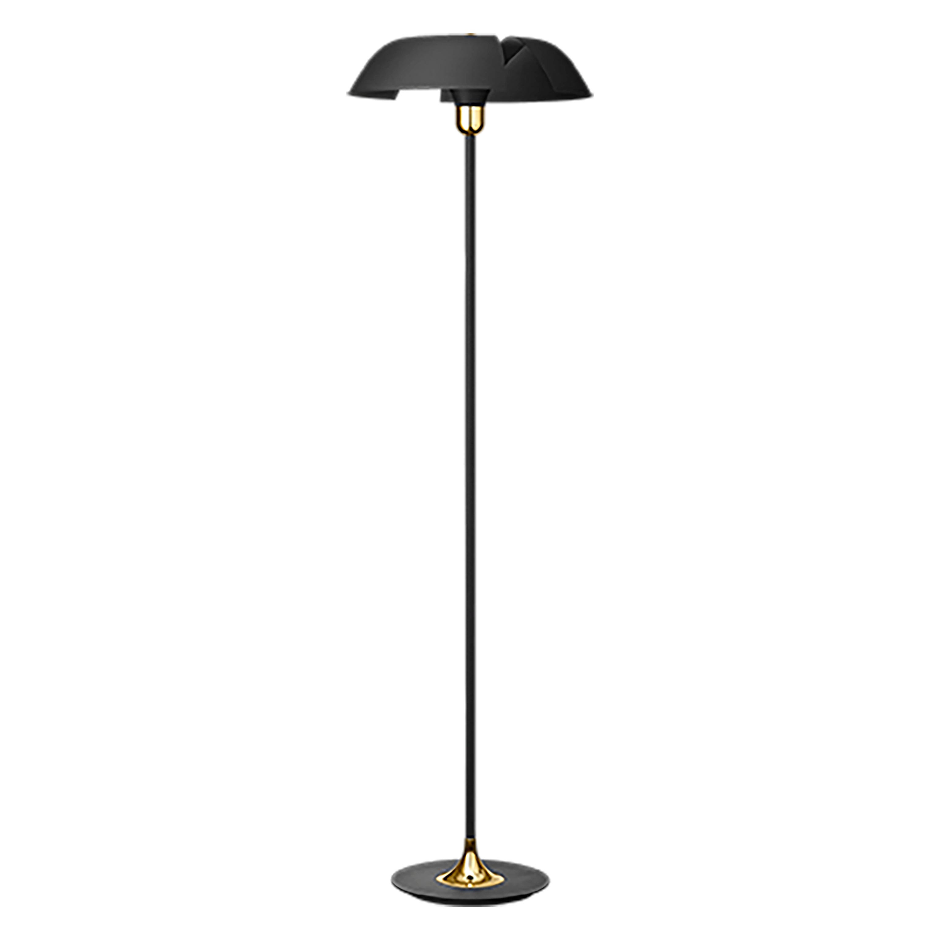 AYTM CYCNUS Golv Lampa, Svart