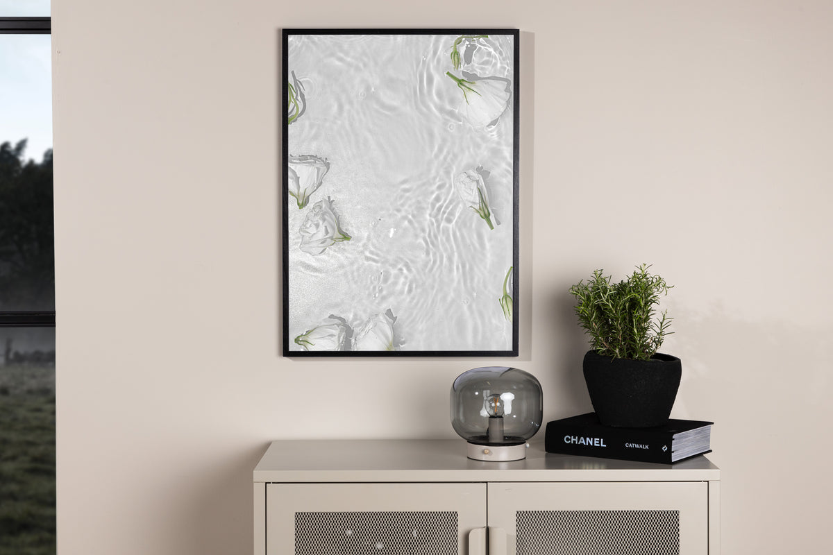 Venture Design White Roses Posters Vit