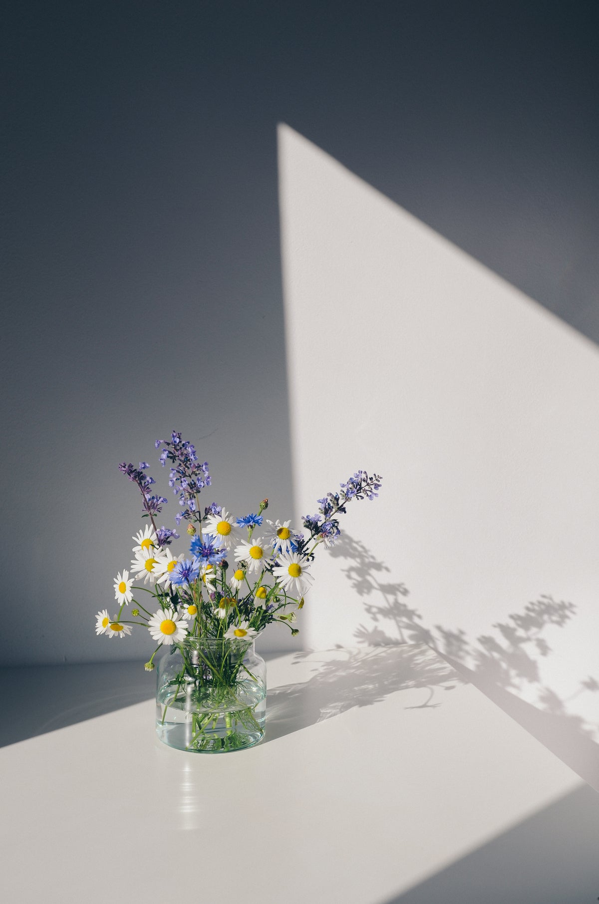 Venture Design Flowers Posters Vit