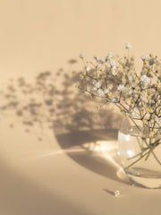 Venture Design White Flowers Posters Beige