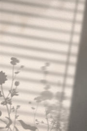 Venture Design Flower Shadow Posters Vit