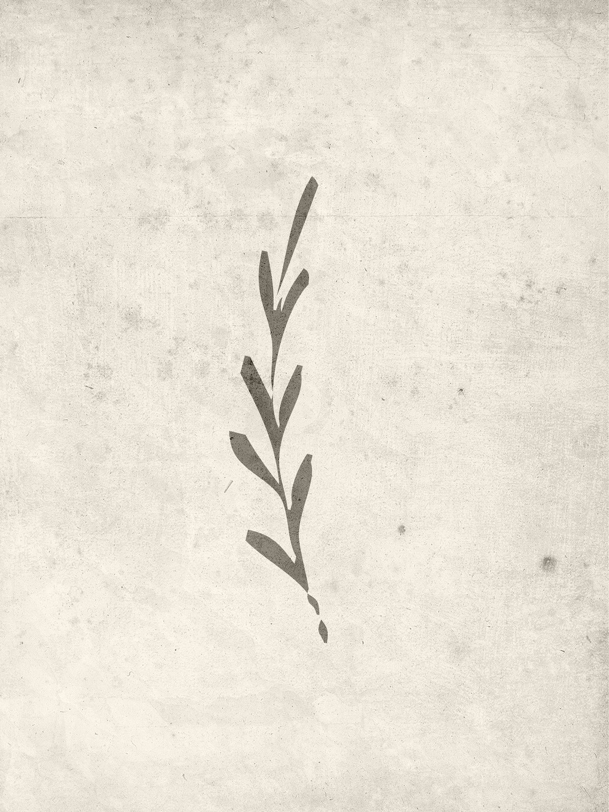 Venture Design Autumn leaf Posters Beige