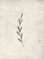 Venture Design Autumn leaf Posters Beige