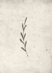 Venture Design Autumn leaf Posters Beige