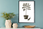 Venture Design Olive Posters Grön