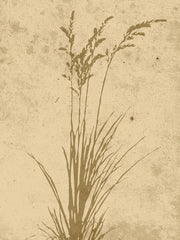 Venture Design Plant art Posters Beige