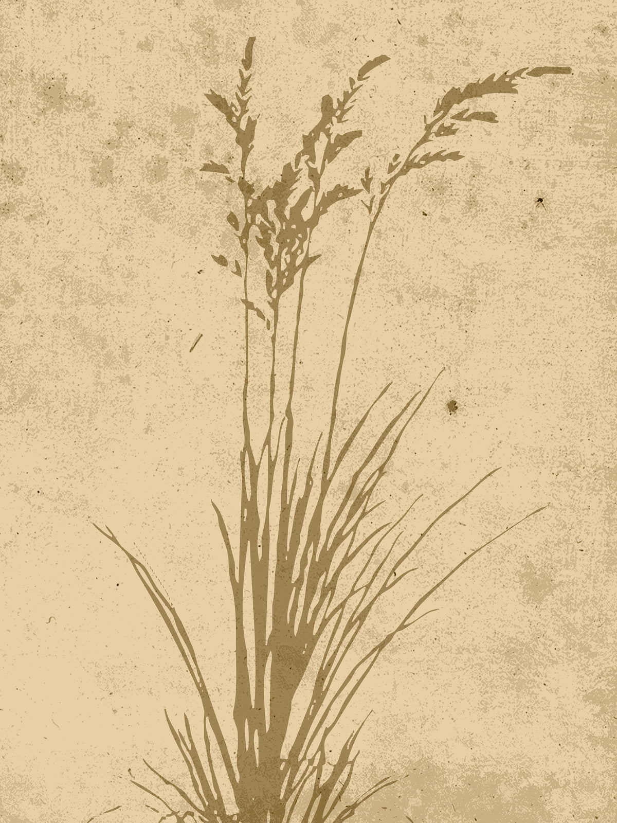 Venture Design Plant art Posters Beige