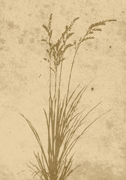 Venture Design Plant art Posters Beige