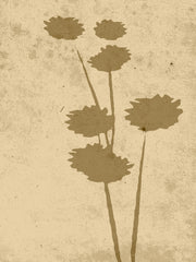 Venture Design Flower art Posters Beige