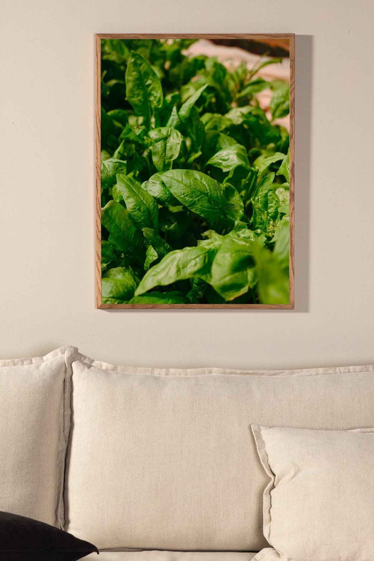 Venture Design Gree leaf Posters Grön