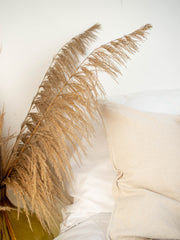 Venture Design Bohemian Posters Beige