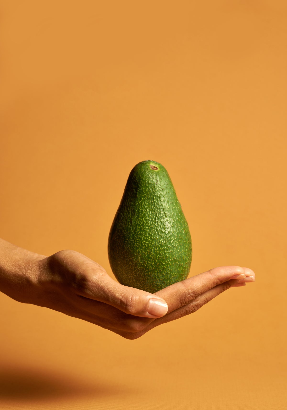 Venture Design Avocado Posters Orange