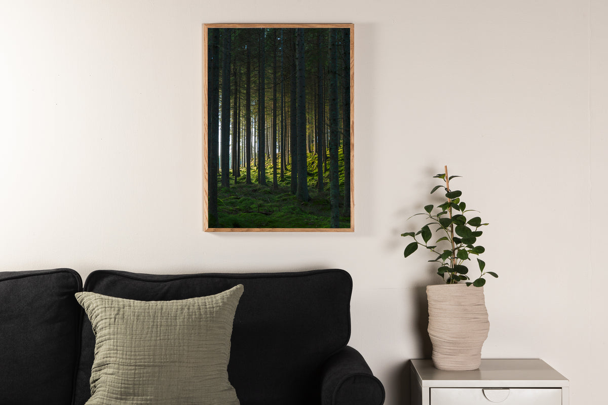 Venture Design Woods Posters Grön