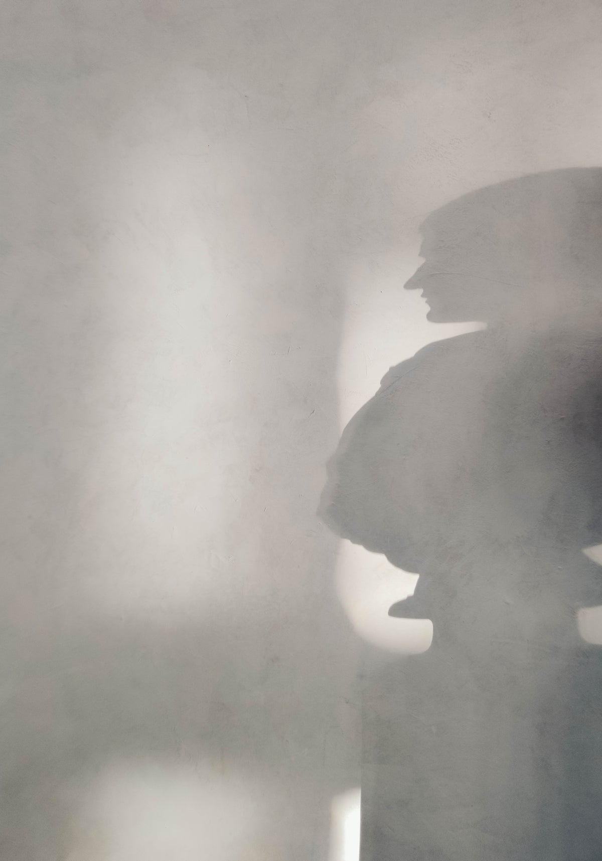 Venture Design Human shadow Posters Grå