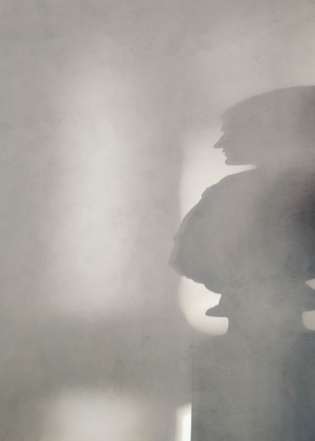 Venture Design Human shadow Posters Grå