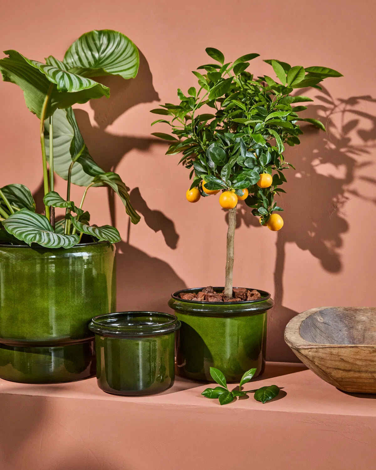 House Doctor 2-pack, Planter, HDHoop, Grön
