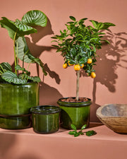 House Doctor 2-pack, Planter, HDHoop, Grön