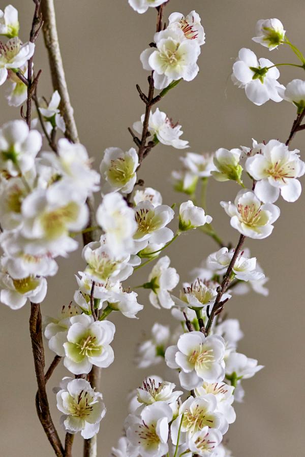 Bloomingville Äppelgren, Vit, Konstgjorda Blommor D35xH153 cm