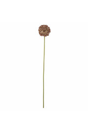 Bloomingville Alliumstjälk, brun, konstgjorda blommor D9xH70 cm