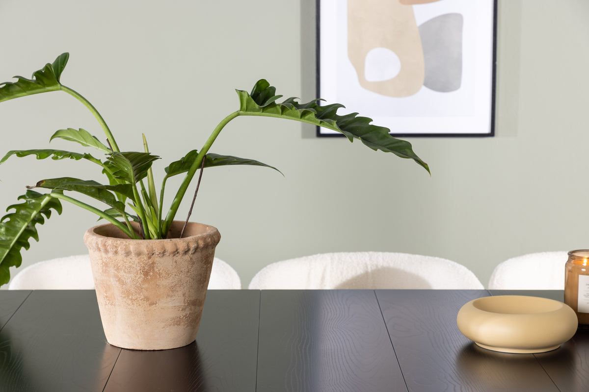 Venture Design Astrid & Edina Rektangulära Matbord 200 x 90 Svart + Matstolar 2-pack Vit