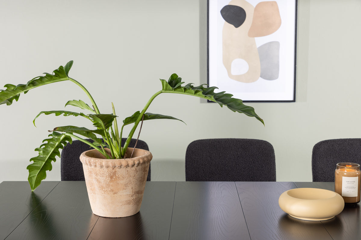 Venture Design Astrid & Yesterday Rektangulära Matbord 200 x 90 Svart + Matstolar 2-pack Svart