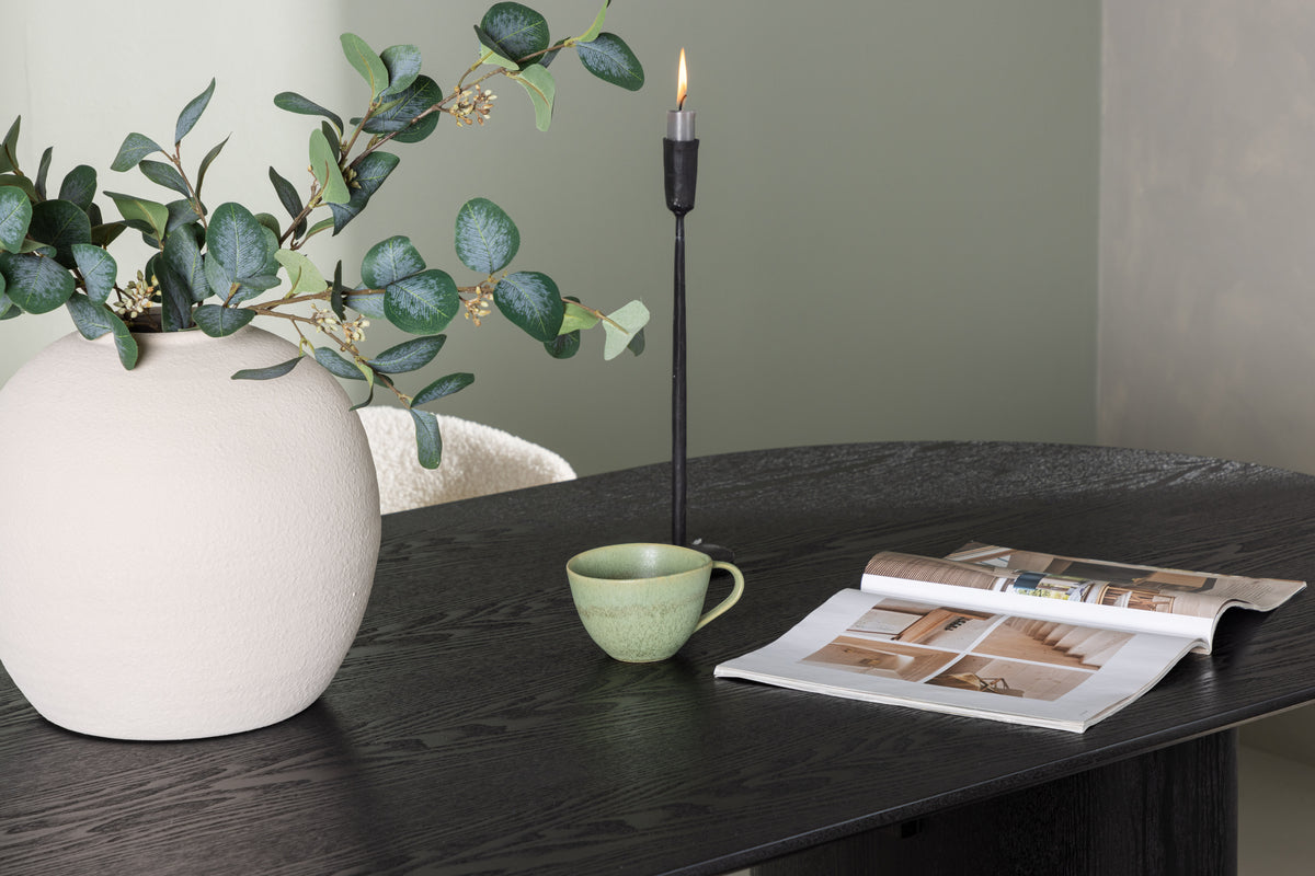 Venture Design Chico & Isolde Matstolar 2-pack Vit + Ovala Matbord 180 x 90 Svart
