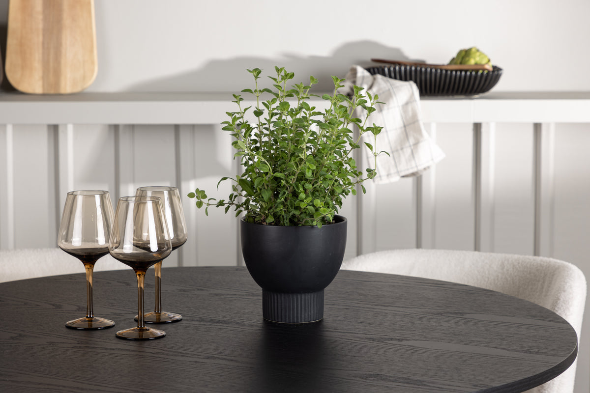 Venture Design Olivia & Edina Runda Matbord ⌀110 Svart + Matstolar 2-pack Vit