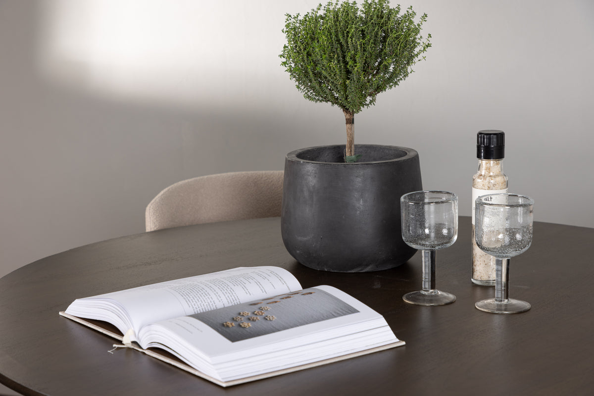 Venture Design Modesto & Kaseidon Matstolar 2-pack Beige + Runda Matbord ⌀100 Mörkbrun