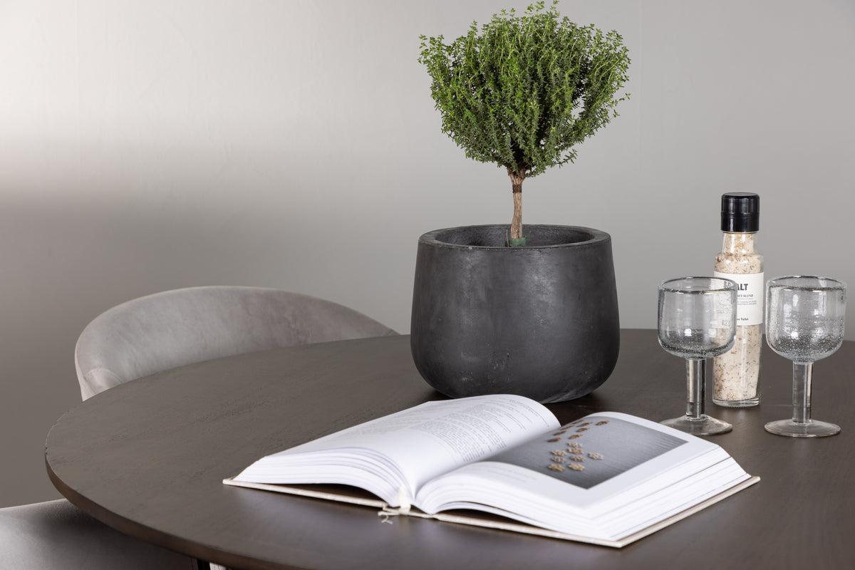 Venture Design Kaseidon & Evelina Runda Matbord ⌀100 Mörkbrun + Matstolar 2-pack Grå