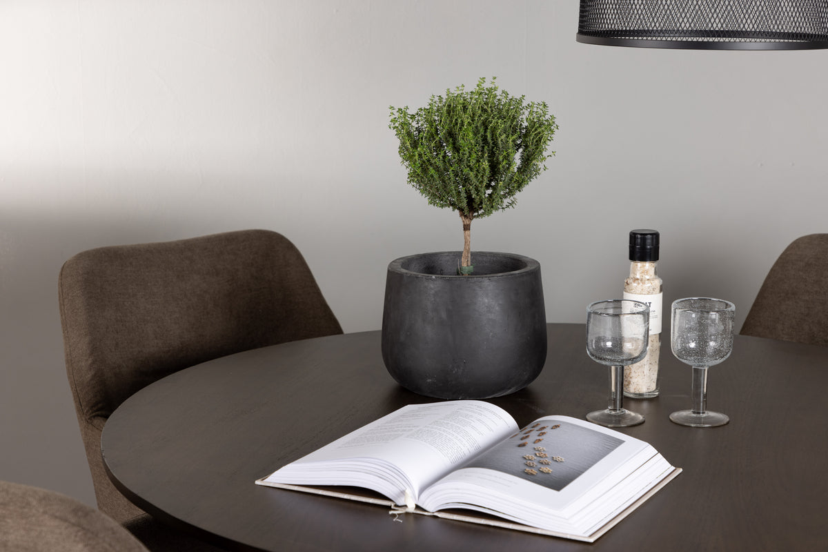 Venture Design Kaseidon & Tomorrow Runda Matbord ⌀100 Mörkbrun + Matstolar 2-pack Brun