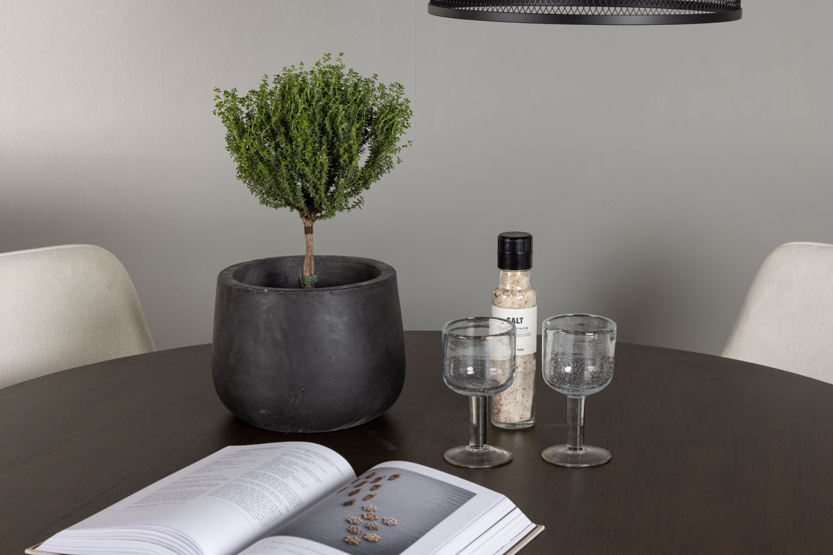 Venture Design Kaseidon & Rosie Runda Matbord ⌀100 Mörkbrun + Matstolar 2-pack Beige