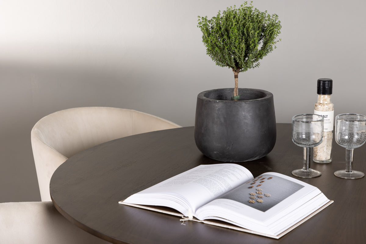 Venture Design Berit & Kaseidon Matstolar Beige + Runda Matbord ⌀100 Mörkbrun
